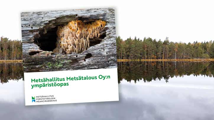 Metsähallitus, Metsätalous Oy:n ympäristöopas taitto