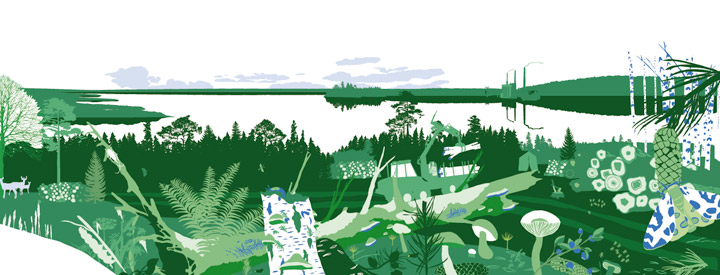 Metsät ja metsätalous Suomessa