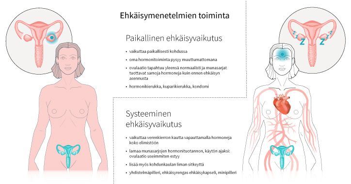 Paikallinen ja systeeminen ehkäisyvaikutus
